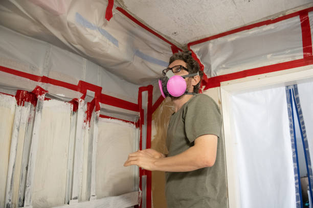 Best Comprehensive Air Testing for Mold Contaminants  in Walce, LA