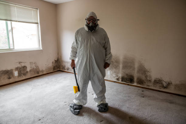 Best Mold Prevention Services  in Walce, LA